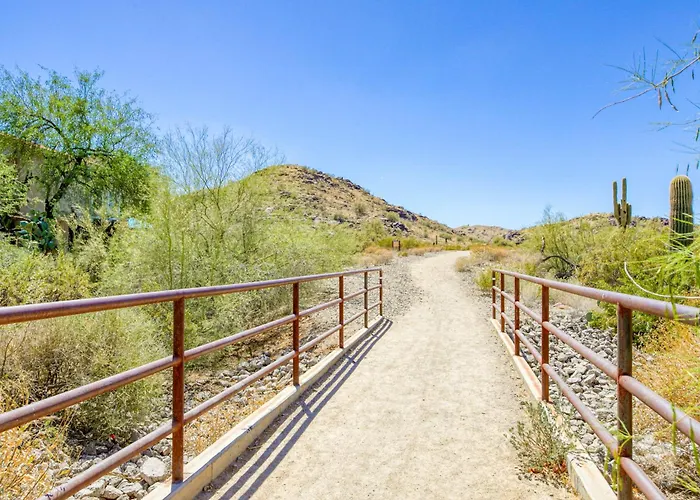 South Mountain Saguaro Siesta * Phoenix